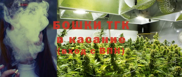 соль ск Богородицк