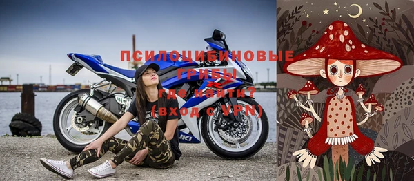 соль ск Богородицк