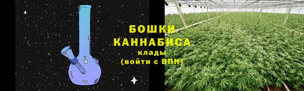 прущая мука Богородск